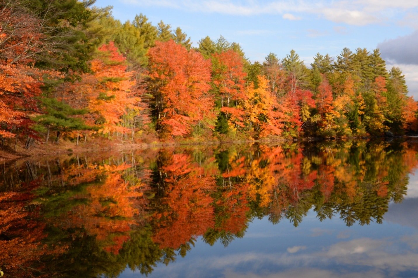 Drone photograph of nature