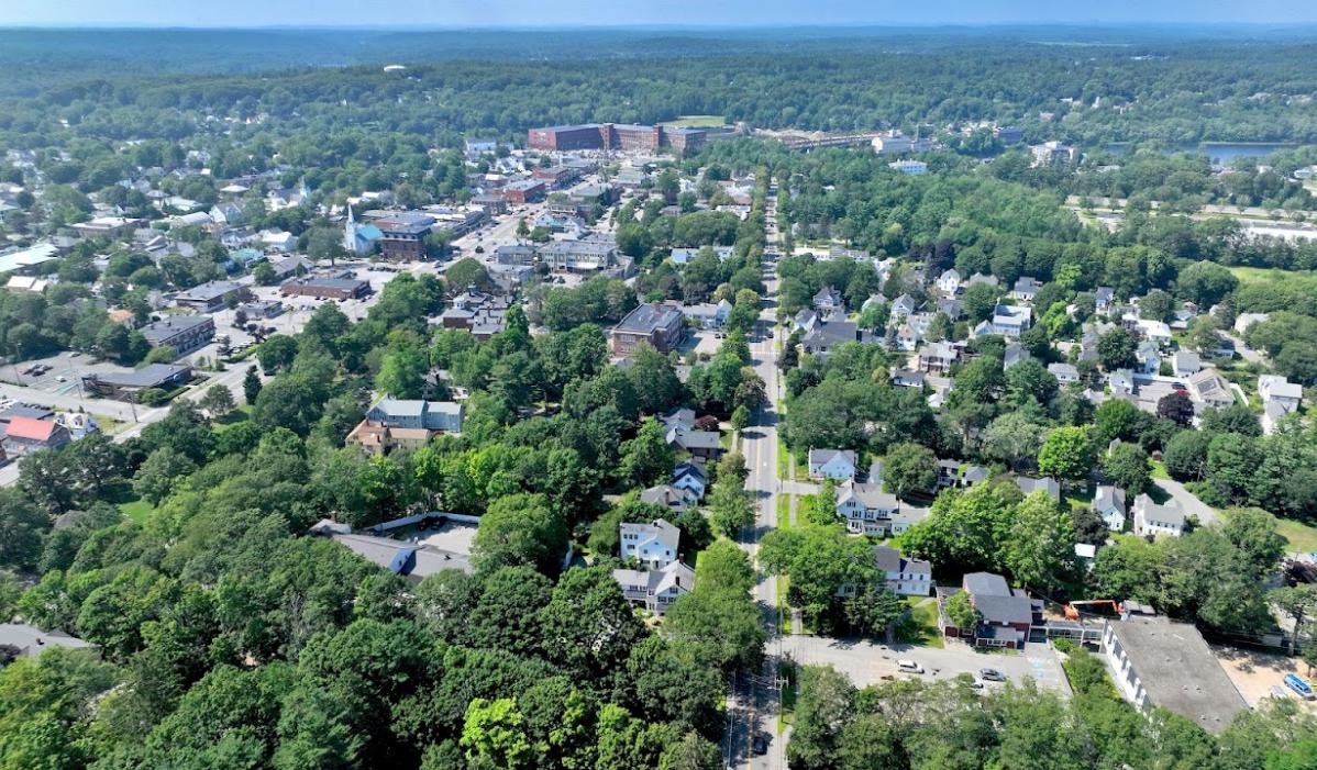 Houses surrounded by trees