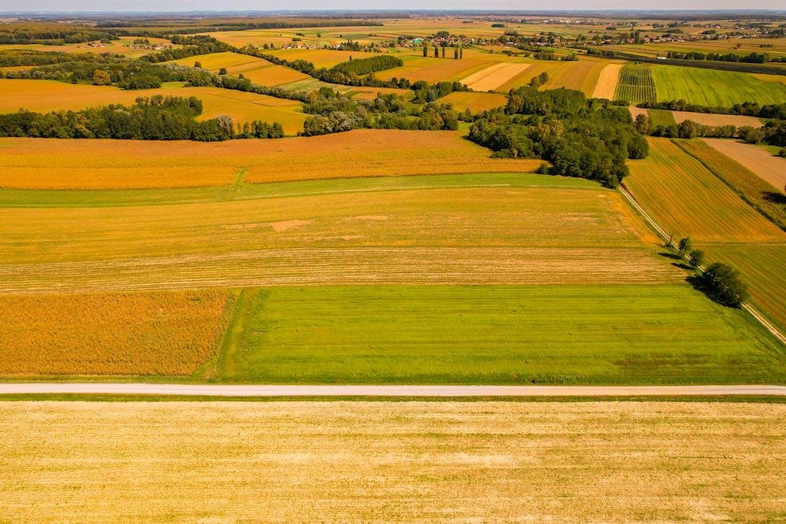 Aerial drone view of agricultural fields in harvest season showing varied crop stages and tree lines.