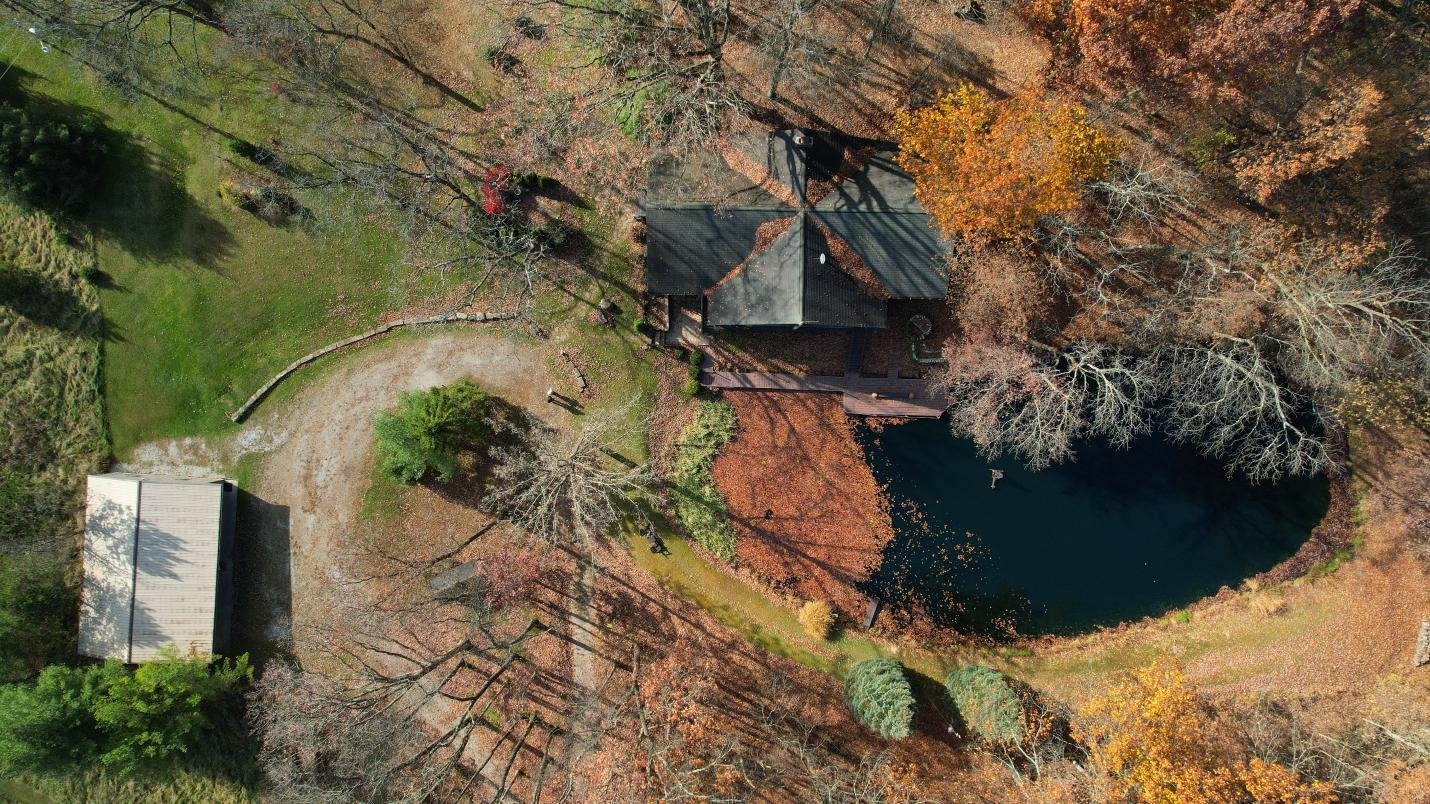 Top-down aerial view of a house surrounded by autumn trees and green landscaping